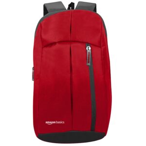 AmazonBasics Backpack for Laptops