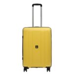 luggage trolley