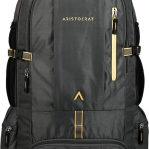 Aristocrat 45 Ltrs Grey Rucksack (RUCHIKEGRY)