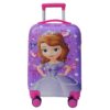 trolley bag for kids