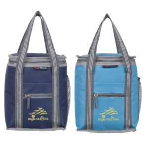 RIGHT CHOICE Polyester Carry on Lunch/Tiffin Bags Combo School Office & Picnic Bag for All Age (Blue+Turquoise)