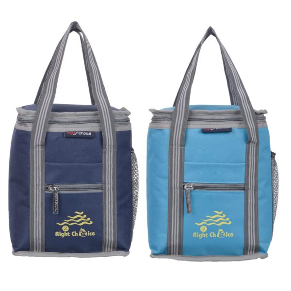 RIGHT CHOICE Polyester Carry on Lunch/Tiffin Bags Combo School Office & Picnic Bag for All Age (Blue+Turquoise)