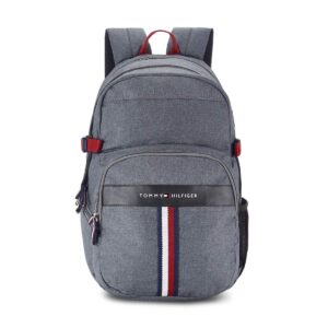 Tommy Hilfiger 29 Ltrs Grey Laptop Backpack (TH/ANDROIDLAP07)