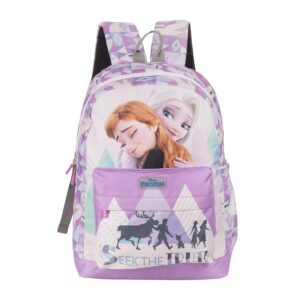 Disney Kids School Bag Soft Plush Backpacks Cartoon Printed Frozen and Elsa Girls School Bag | Casual Bagpack | Multicolor (5-12 Years)