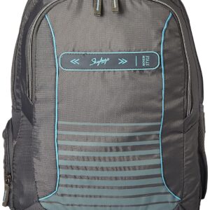 Skybags Network Rc 34L Grey Laptop Bags