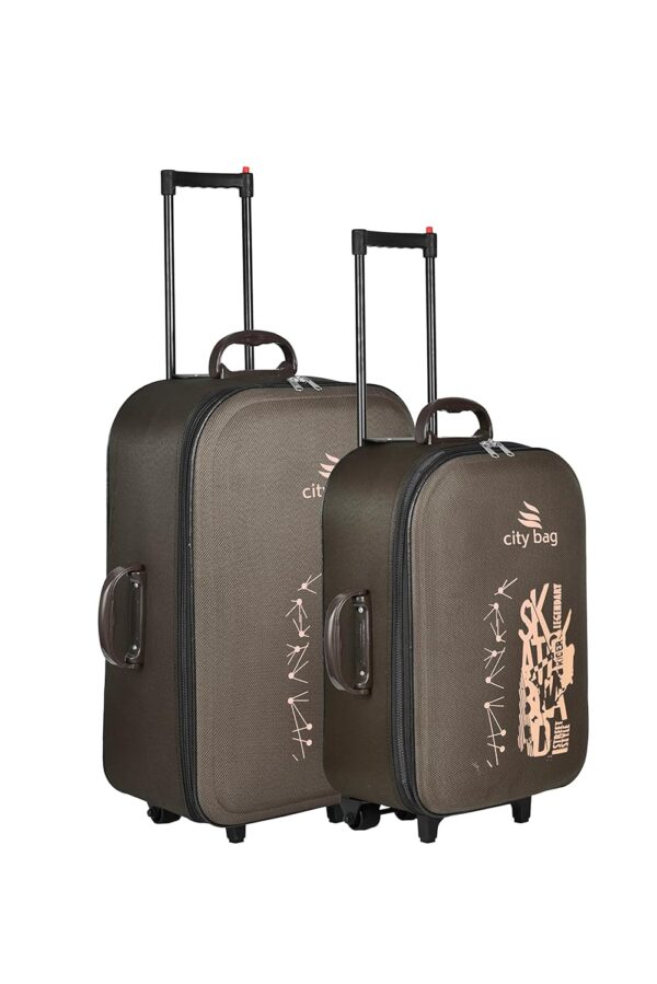 CITY BAG Printed Trolley Bags Set of 2 (20 inch Cabin and 24 inch Check in) (Brown)